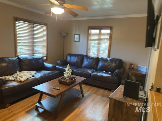 living room featuring crown molding, light wood finished floors, and ceiling fan