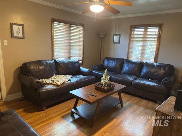 living room featuring light wood-style floors, ornamental molding, baseboards, and ceiling fan