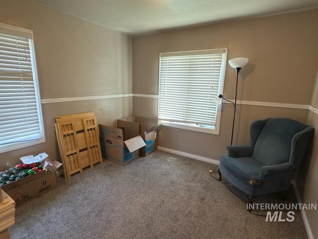 living area with baseboards, carpet, and a wealth of natural light