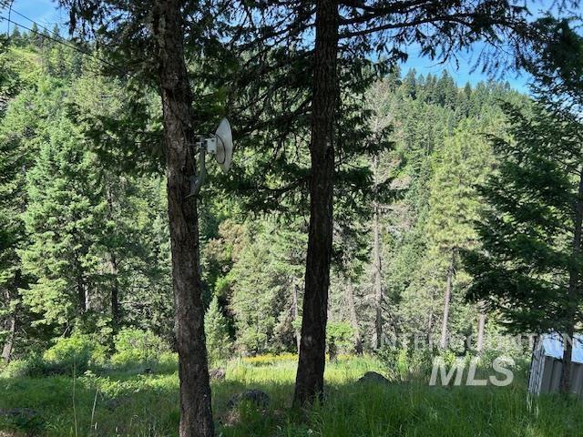 268 Long Blf, Kooskia, ID 83539