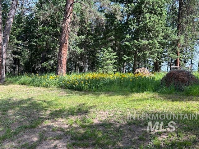 268 Long Blf, Kooskia, ID 83539