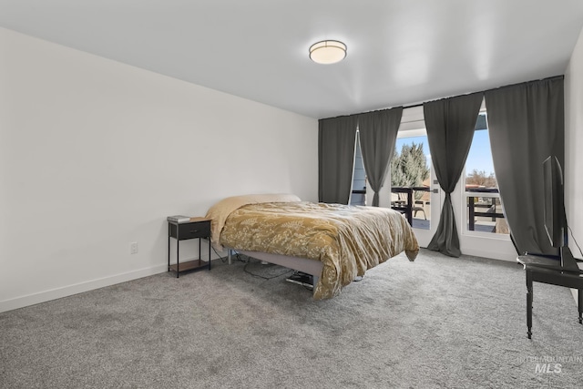 22168 Rio Vista Dr, Caldwell, ID 83607 - bedroom featuring access to exterior, carpet, and baseboards