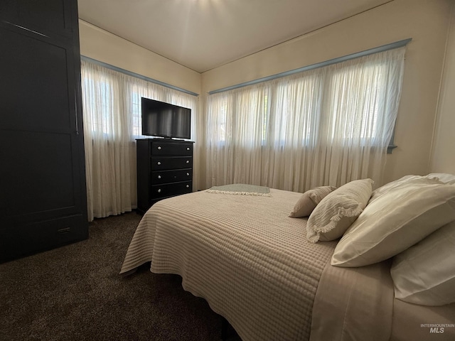 1351 Poplar, Twin Falls, ID 83301 - bedroom with dark carpet