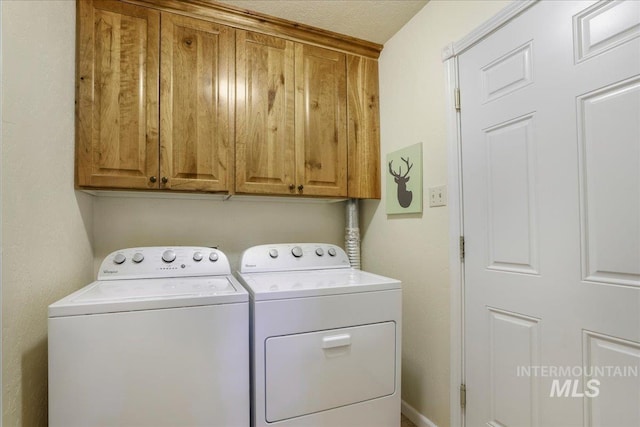 1037 Pahsimeroi Dr, Twin Falls, ID 83301 - laundry room with cabinet space and independent washer and dryer