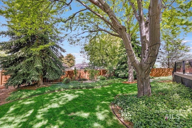 1037 Pahsimeroi Dr, Twin Falls, ID 83301 - view of yard