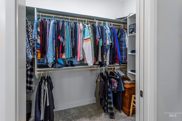 spacious closet featuring carpet floors