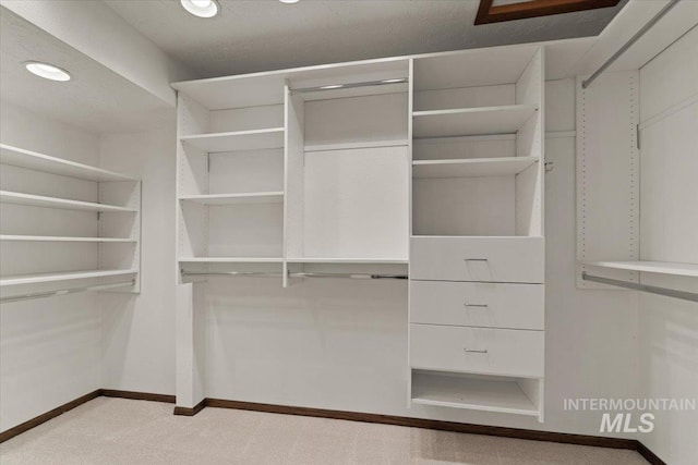 spacious closet featuring carpet