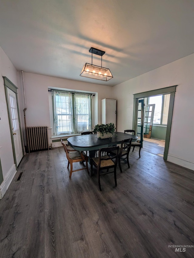 dining area with a healthy amount of sunlight, radiator, and dark wood-type flooring
