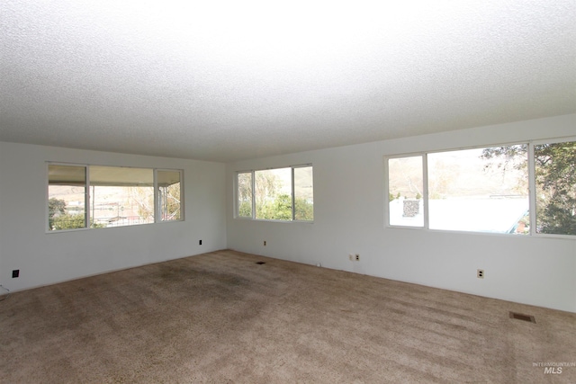 carpeted spare room featuring a textured ceiling