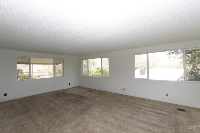 930 Coulter Ln, Clarkston, WA 99403 - unfurnished room featuring carpet floors and a textured ceiling