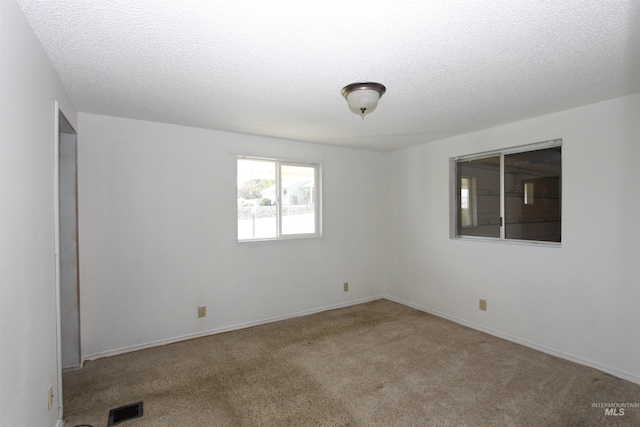 930 Coulter Ln, Clarkston, WA 99403 - empty room with carpet, a textured ceiling, and baseboards