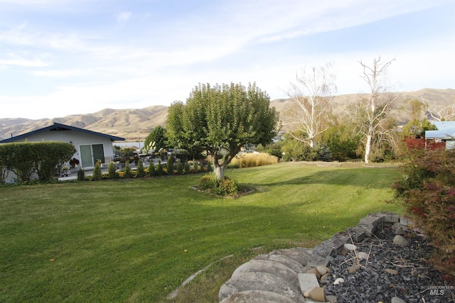 930 Coulter Ln, Clarkston, WA 99403 - view of grassy yard featuring a mountain view