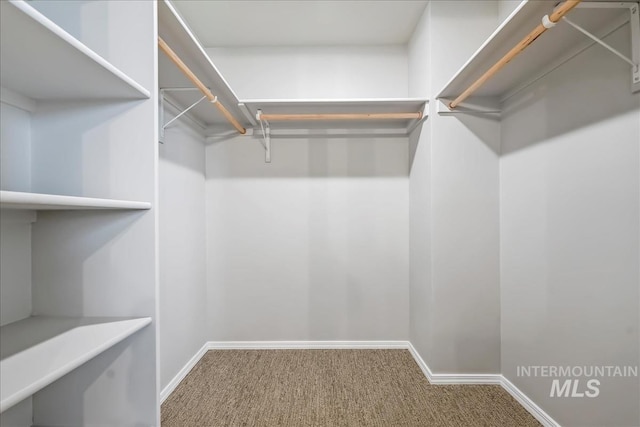 709 W Smoky Quartz St, Kuna, ID 83634 - spacious closet with carpet
