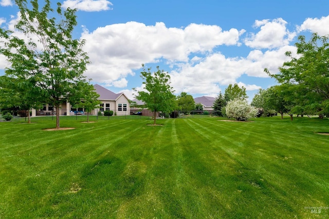 6859 N Topaz Jewel Pl, Meridian, ID 83646 - view of yard