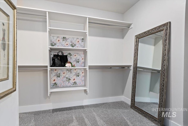 1867 W Wind Drift St, Meridian, ID 83646 - view of walk in closet