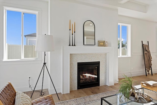 living room with light hardwood / wood-style floors