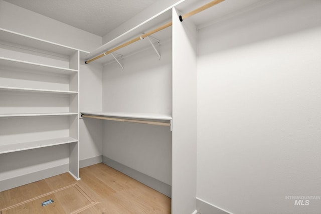 spacious closet featuring light wood finished floors