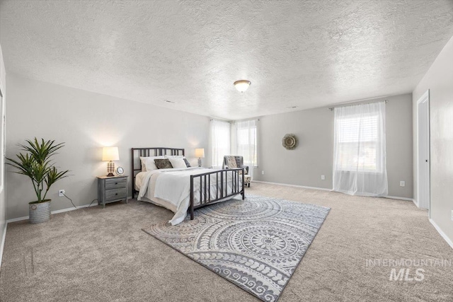 120 Pilgrim Way, Middleton, ID 83644 - bedroom with carpet, a textured ceiling, and baseboards
