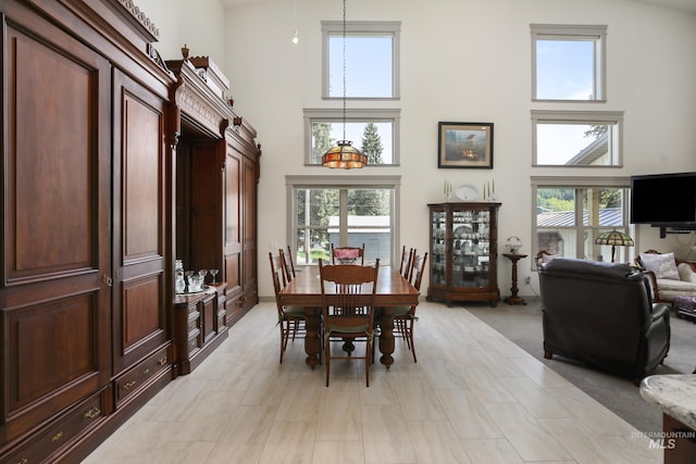 110 S 3rd Ave, Pierce, ID 83546 - dining room featuring a towering ceiling