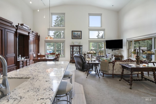 110 S 3rd Ave, Pierce, ID 83546 - living room with high vaulted ceiling and light carpet