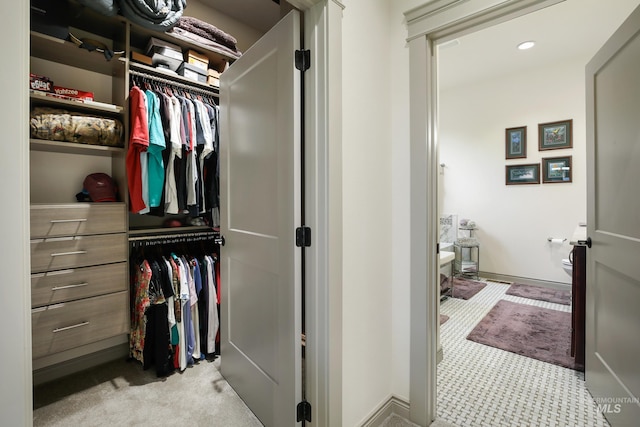 110 S 3rd Ave, Pierce, ID 83546 - walk in closet with light colored carpet