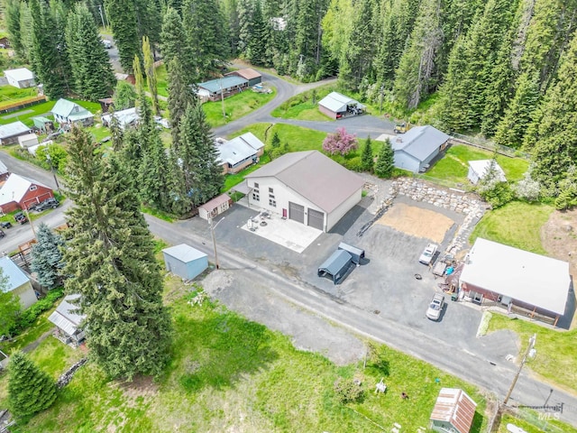110 S 3rd Ave, Pierce, ID 83546 - aerial view of a heavily wooded area