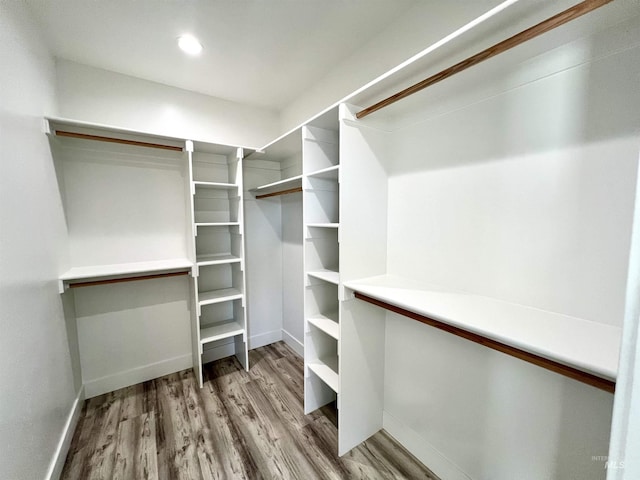 walk in closet featuring wood finished floors