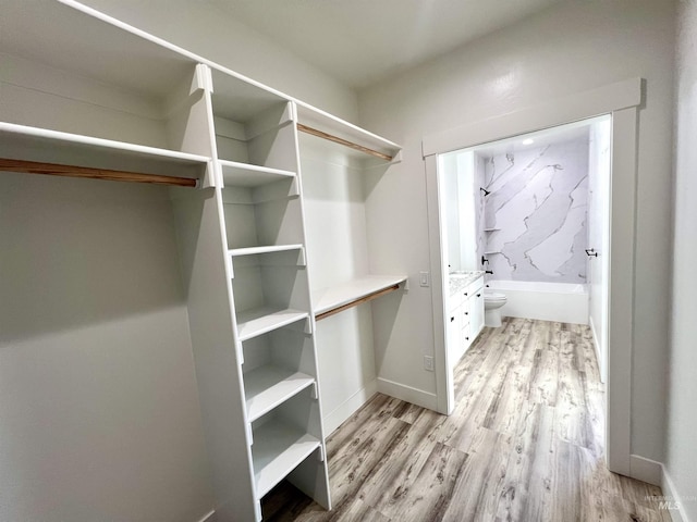 spacious closet with light wood-type flooring