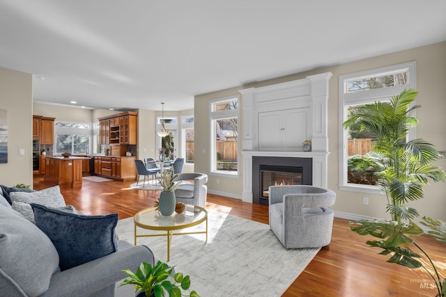 living area with a glass covered fireplace, wood finished floors, and baseboards