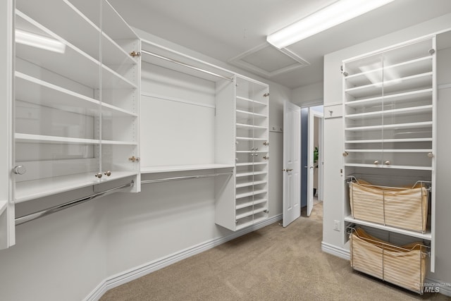 spacious closet with attic access and carpet