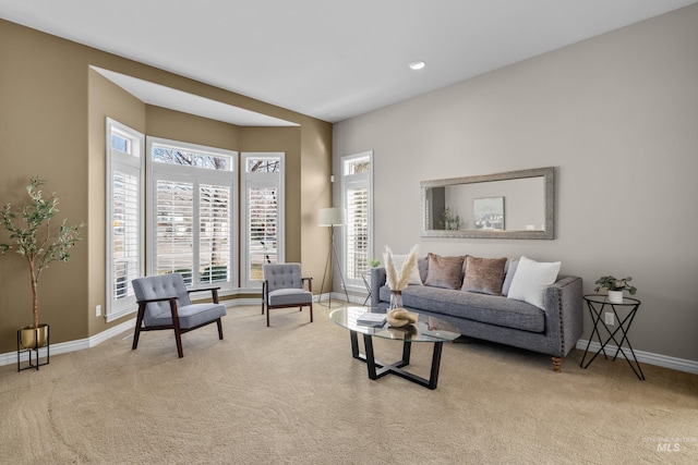 living area featuring baseboards and carpet floors