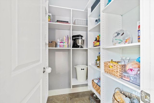 12231 W Caribee Inlet Dr, Star, ID 83669 - view of storage area