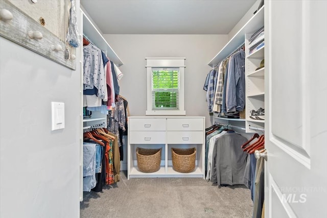 12231 W Caribee Inlet Dr, Star, ID 83669 - walk in closet with carpet flooring