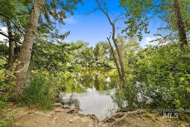 12231 W Caribee Inlet Dr, Star, ID 83669 - water view