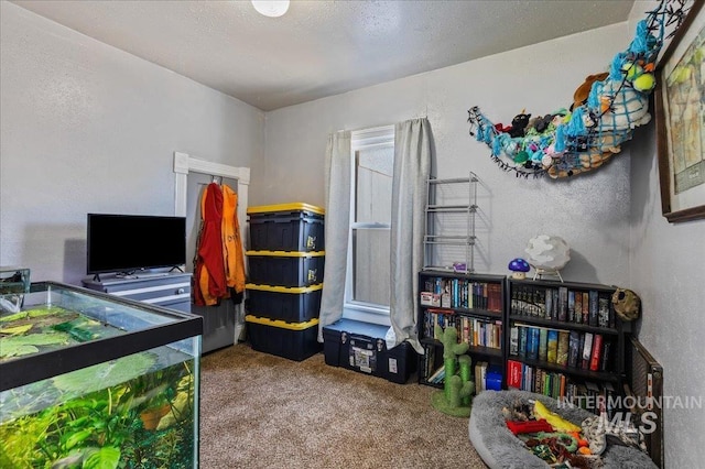 816 Denver St, Caldwell, ID 83605 - bedroom featuring carpet flooring and a textured wall