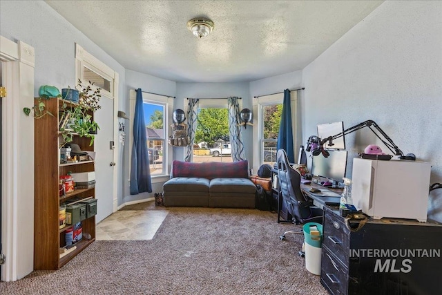 816 Denver St, Caldwell, ID 83605 - home office featuring carpet and a textured ceiling