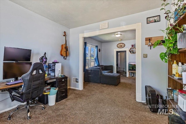 816 Denver St, Caldwell, ID 83605 - home office with carpet floors, a textured ceiling, and baseboards
