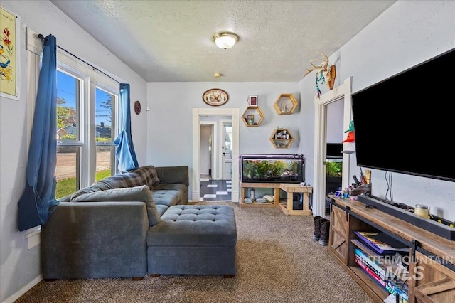 816 Denver St, Caldwell, ID 83605 - carpeted living room featuring a textured ceiling