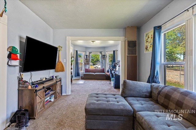 816 Denver St, Caldwell, ID 83605 - carpeted living room featuring plenty of natural light and baseboards