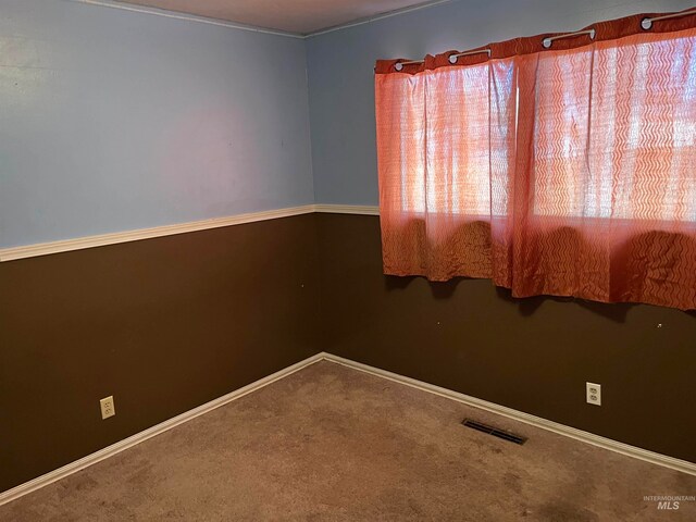 spare room with carpet flooring