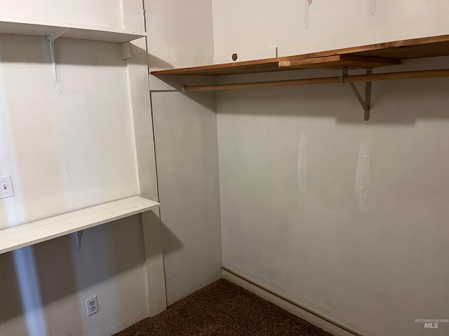 walk in closet with carpet