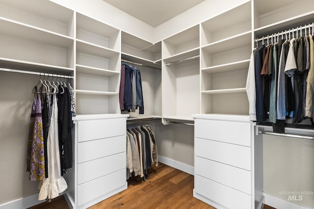 8490 W Mirror Pond Dr, Boise, ID 83714 - spacious closet with dark wood finished floors