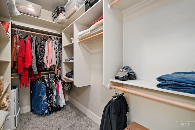 11771 W Cross Slope Way, Nampa, ID 83686 - spacious closet featuring carpet