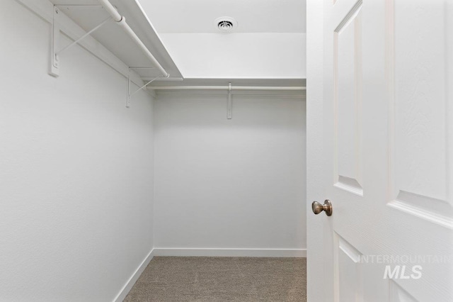 spacious closet with carpet