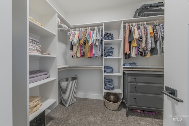 walk in closet featuring carpet flooring