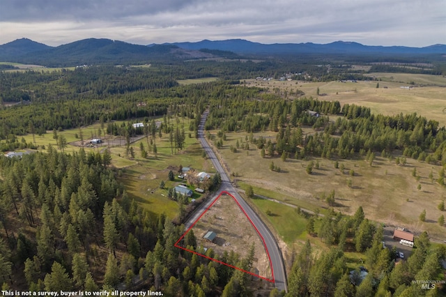 1112 Old Park Rd, Deary, ID 83823