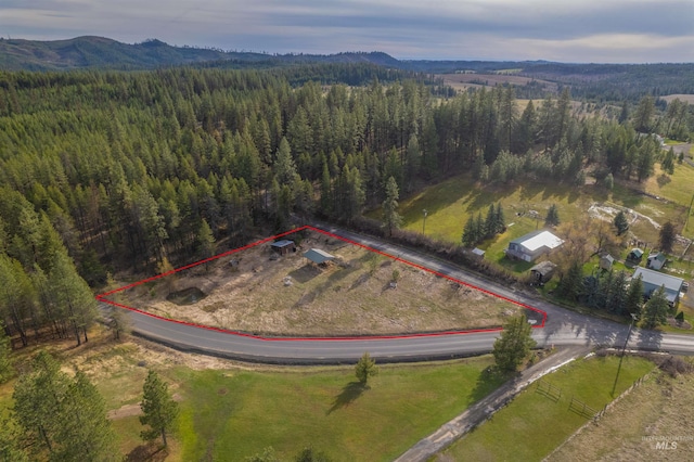 1112 Old Park Rd, Deary, ID 83823