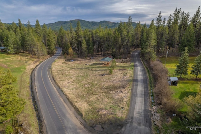 1112 Old Park Rd, Deary, ID 83823