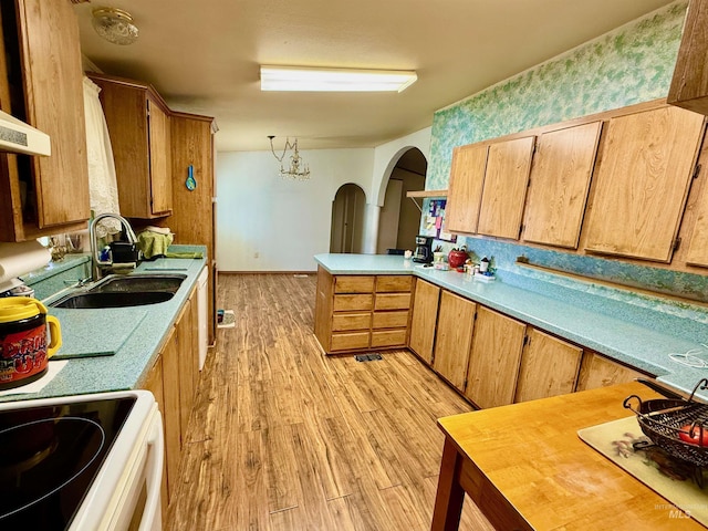 103 Beech St, Nezperce, ID 83543 - kitchen featuring a sink, light wood-style floors, light countertops, arched walkways, and range with electric cooktop