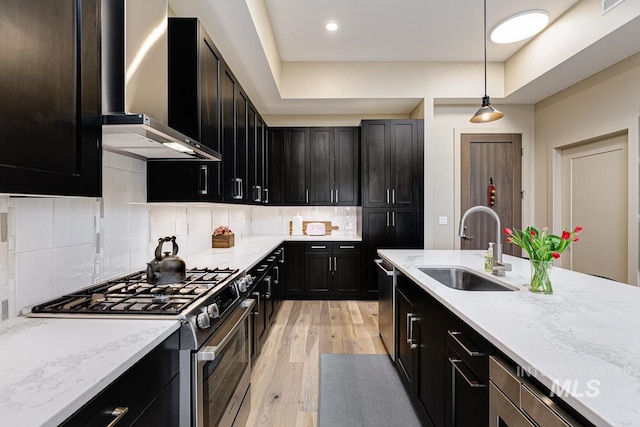 880 W River St, Boise, ID 83702 - kitchen featuring light wood-style floors, wall chimney range hood, dark cabinets, a sink, and appliances with stainless steel finishes